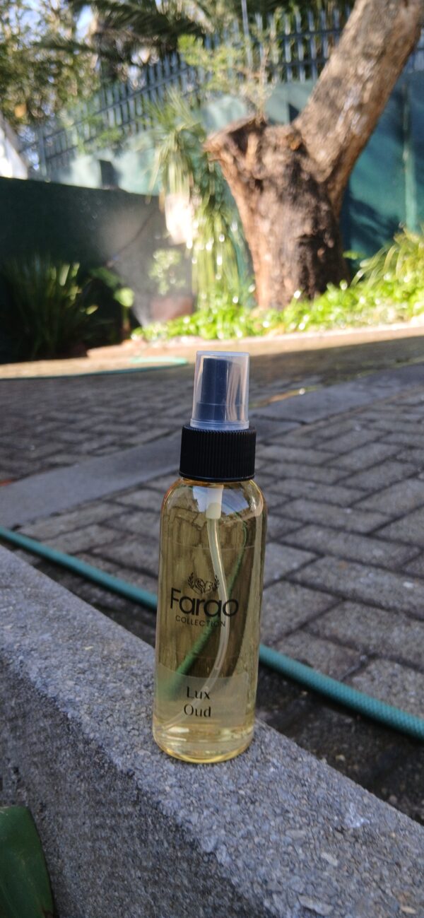Lux Oud Room Mist